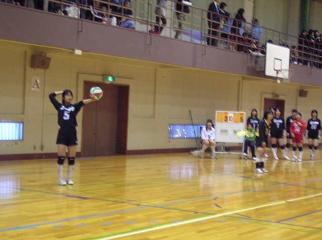 女子バレーボール部